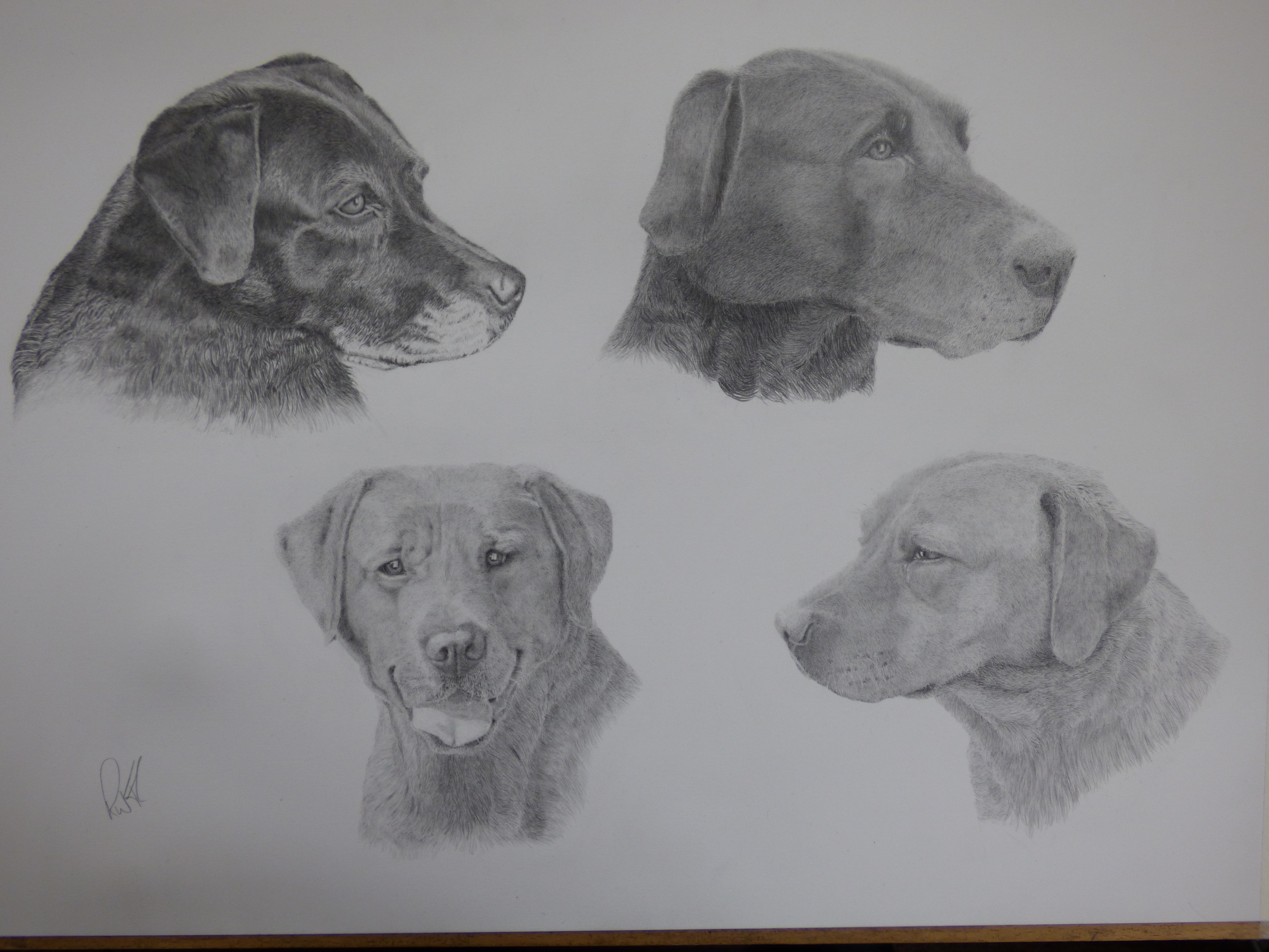 Madge, Ben, Sam and Ted 2