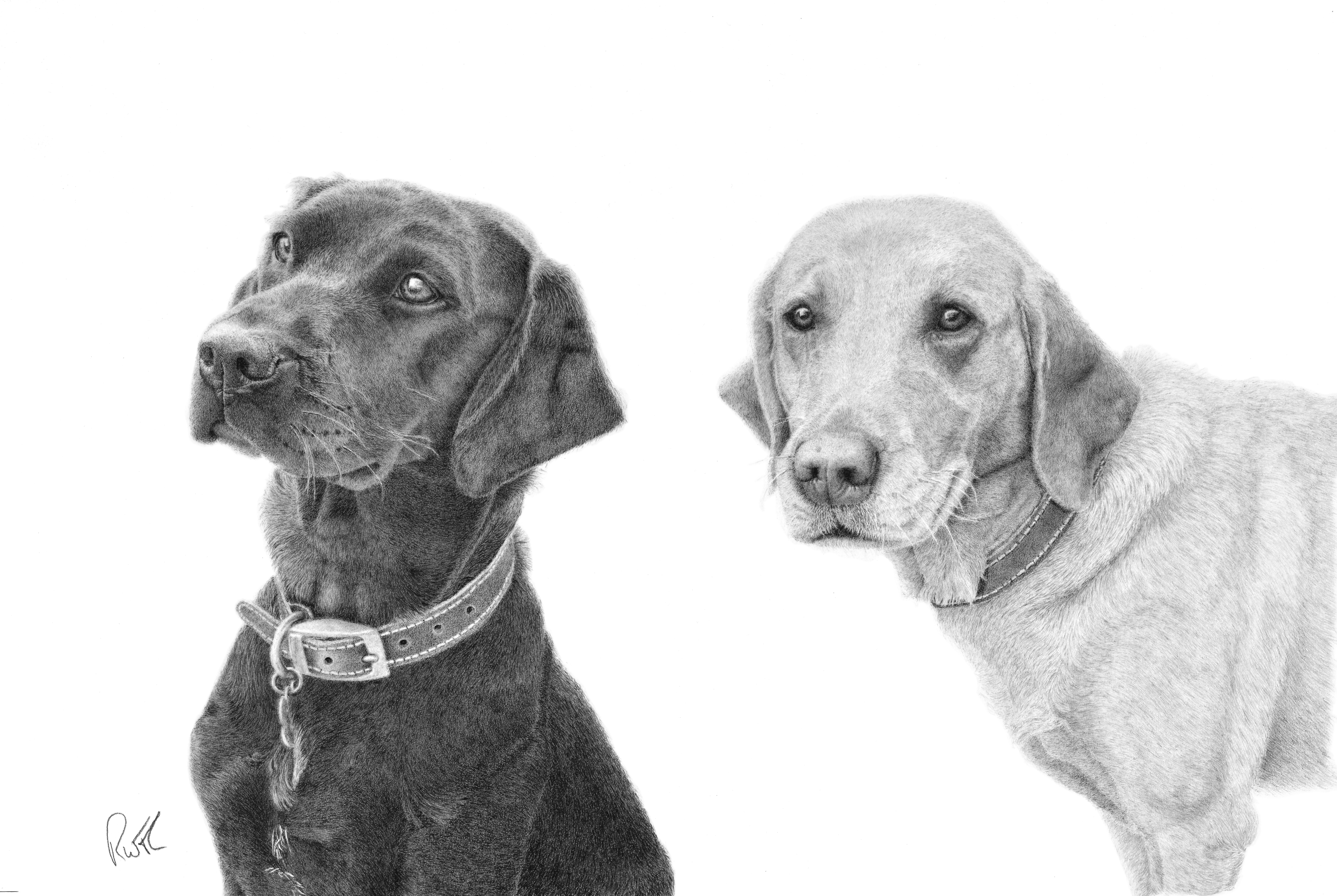 Mia & Maissie Final Picture 2