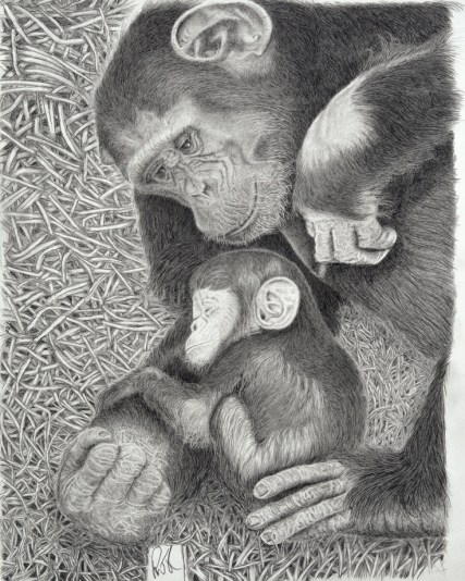 Chimp Baby and Mother 2