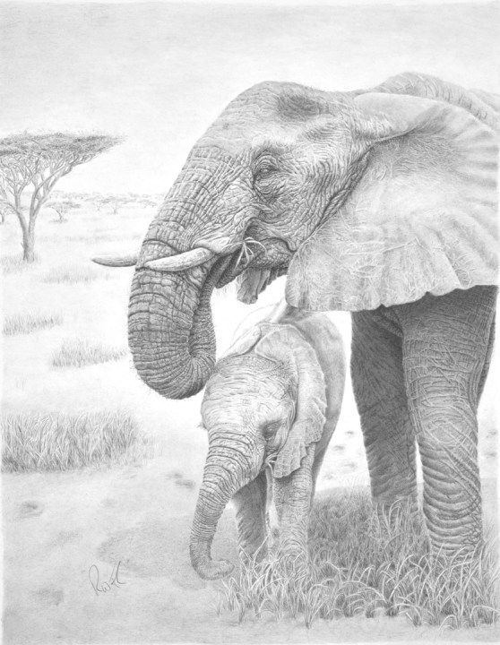 Savannah Serenity - mother and calf elephant small
